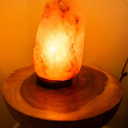 アパート Casa Mejillon, コスタ・カルマ